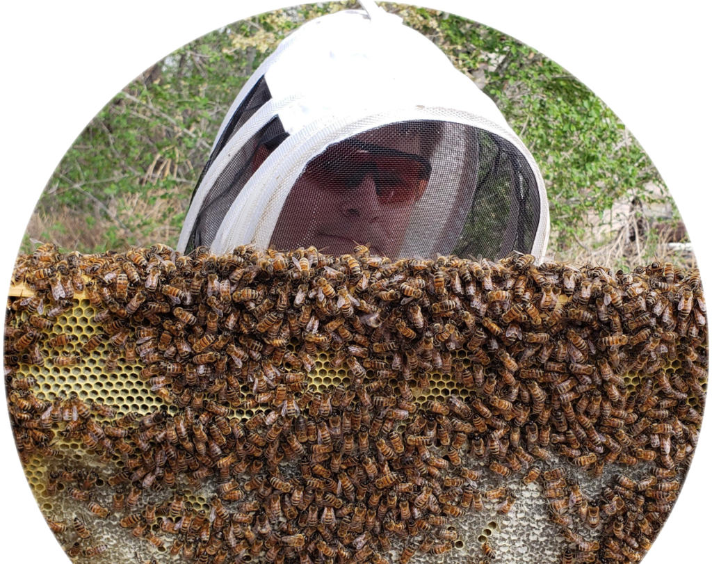 Certified beekeeper Benjamin Scott is always learning, and his passion for bee health is the reason he started Benji's Bees. LLC.